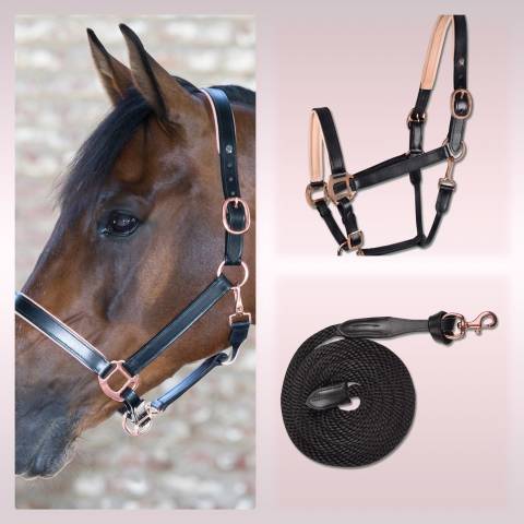 Licol et longe X Line Waldhausen