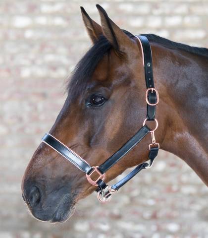 Licol et longe X Line Waldhausen