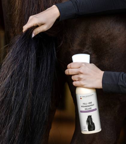 Lot de 2 Spray pour pelage et crinière Deluxe, 500 ml