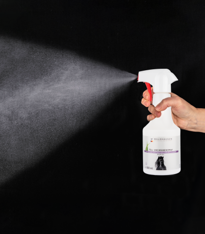 Spray à l'Aloe Vera robe et crinière - Lot de 2x500ml