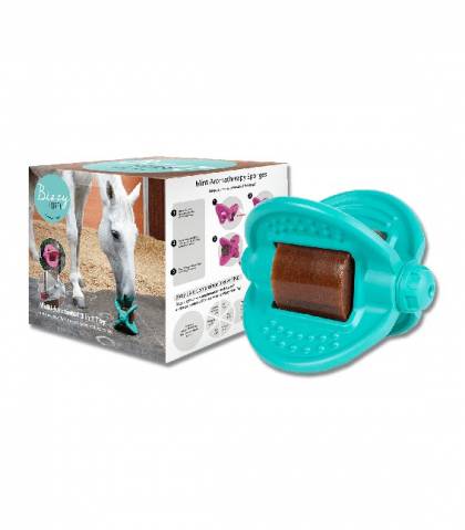 Support bloc à lécher Bizzy Ball