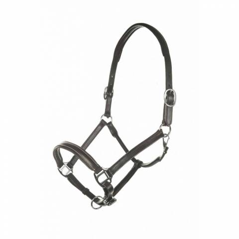 Licol en cuir Simple HKM