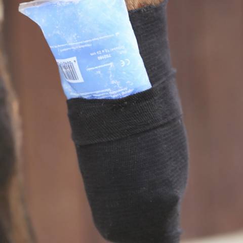 Bande pour chaussettes Tendon Grip - Kentucky