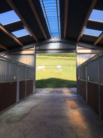 Pension chevaux - ecurie enon (39)