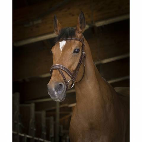 Bridon Pro Rock Marron - Norton