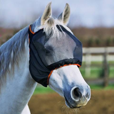 Bonnet midi sans oreilles - Equilibrium