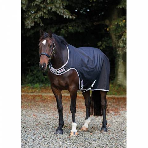 Chemise pour Marcheur Amigo - Horseware