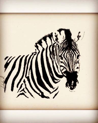 Tableaux de chevaux, poneys, ânes , chien 