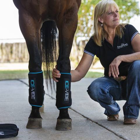 Guêtres Ice Vibe - Horseware