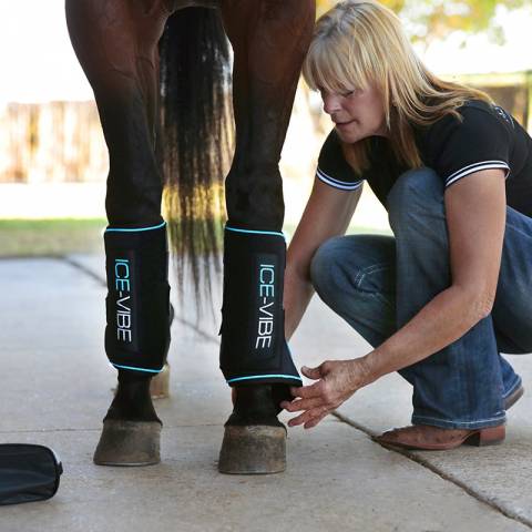 Guêtres Ice Vibe - Horseware