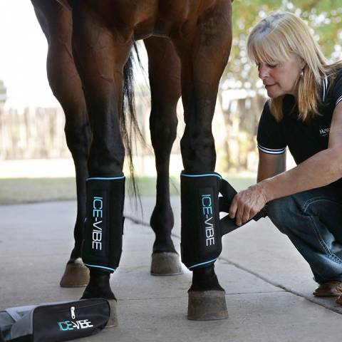 Guêtres Ice Vibe - Horseware