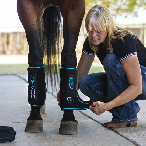 Guêtres Ice Vibe - Horseware