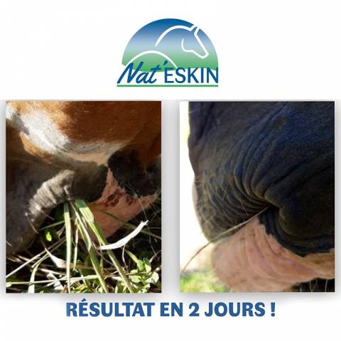 Gel réparateur - Nat'eskin