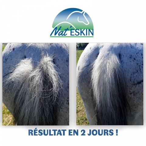 Gel réparateur - Nat'eskin
