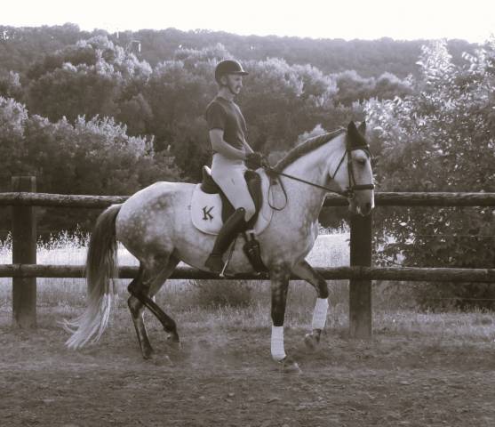 Leçons & stages écurie korrigan 04