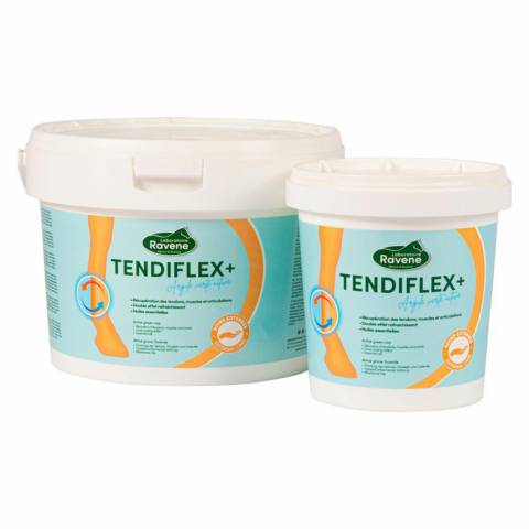 Argile Tendiflex + 1,5 kilos - Ravene