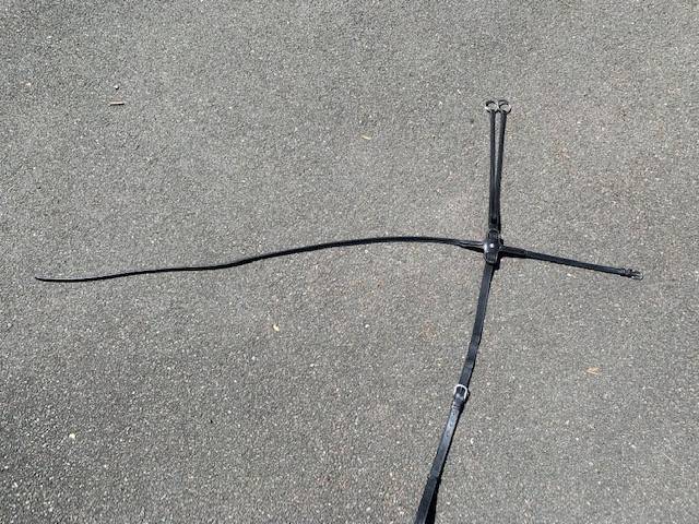 Martingale Bruno Delgrange, taille cheval, noire, neuve