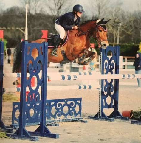 Poney a vendre as2 cso
