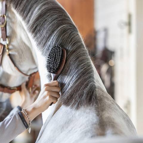 Brosse a crins double - Sprenger