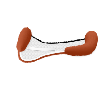 Amortisseur dressage avec rebords personnalisable - Mattes