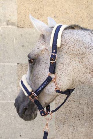 Licol et longe Harcour Holly