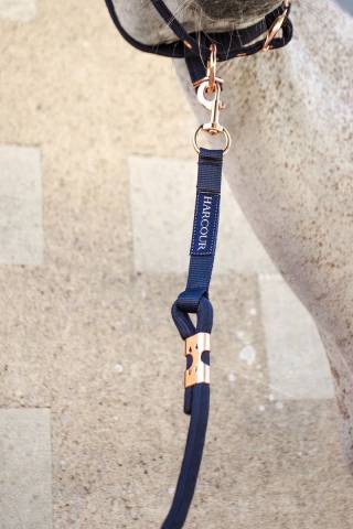 Licol et longe Harcour Holly