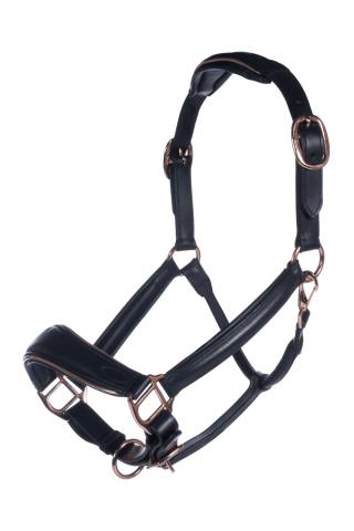 Licol en cuir Gold HKM