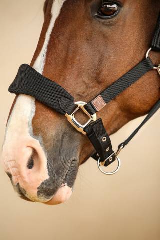 Licol Harcour Hega tissus mesh