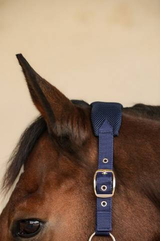 Licol Harcour Hega tissus mesh