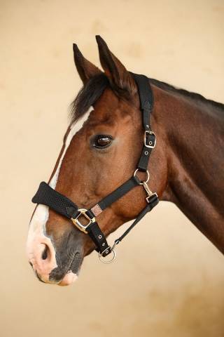 Licol Harcour Hega tissus mesh