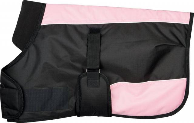 Couverture poulain TwoTone - Harry's Horse