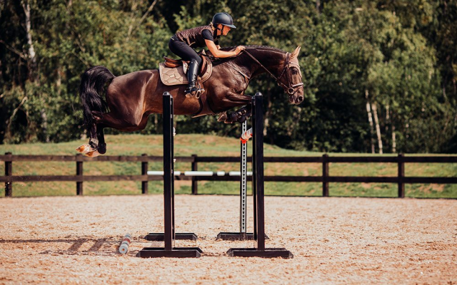 Tapis de selle CHAMPAGNE - Equestrian Stockholm