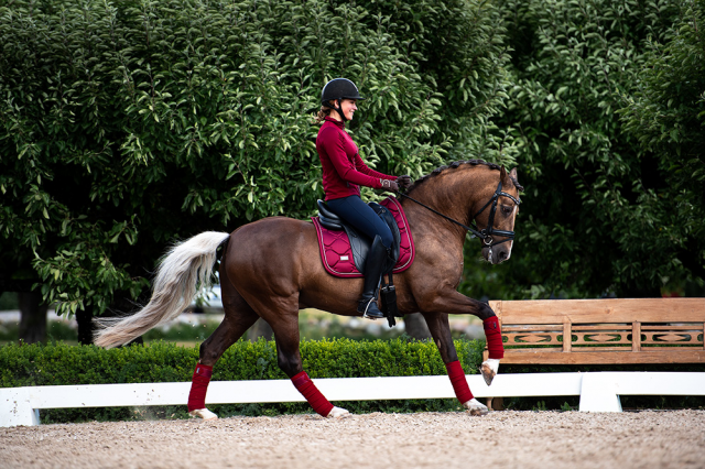 Tapis de selle Bordeaux - Equestrian Stockholm