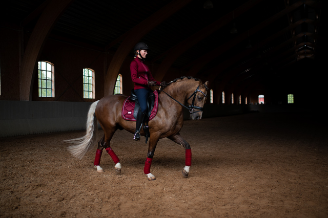 Tapis de selle Bordeaux - Equestrian Stockholm