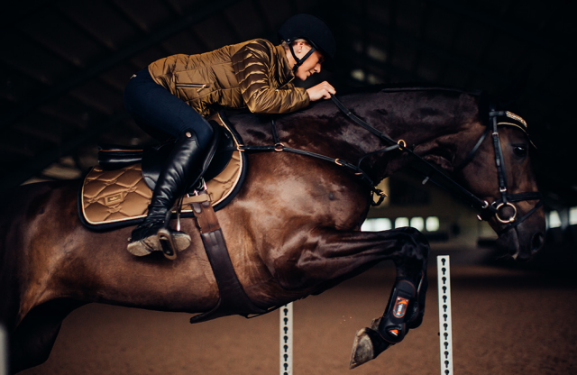 Tapis de selle Golden Brass - Equestrian Stockholm