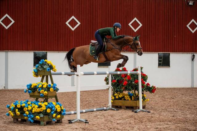 Tapis de selle Forest Green - Equestrian Stockholm