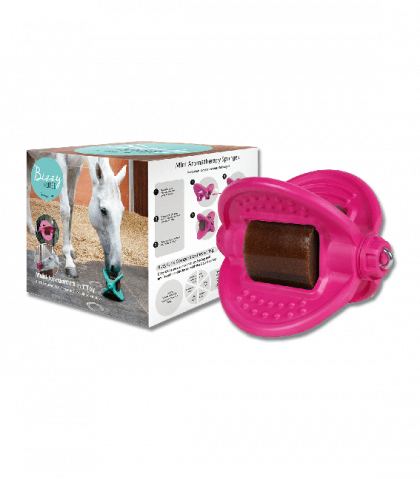 Recharge Bizzy Ball - Bizzy Horse