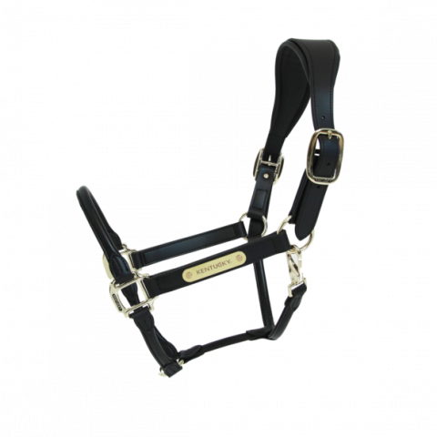 Licol anatomique en cuir - Kentucky