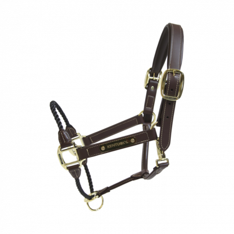 Licol en cuir rope - Kentucky