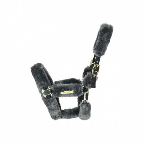 Licol de transport mouton - Kentucky