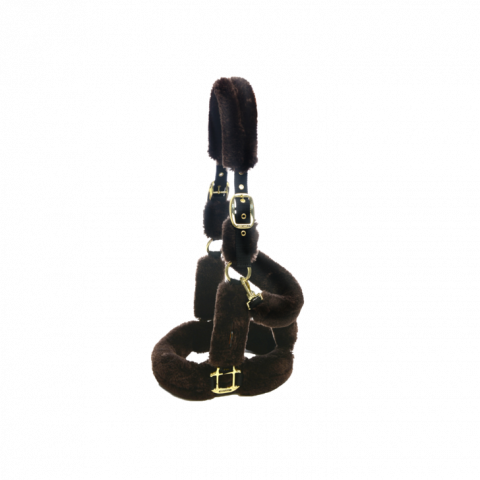 Licol de transport mouton - Kentucky