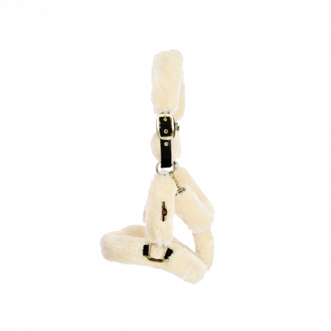 Licol de transport mouton - Kentucky