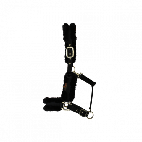 Licol en nylon mouton - Kentucky