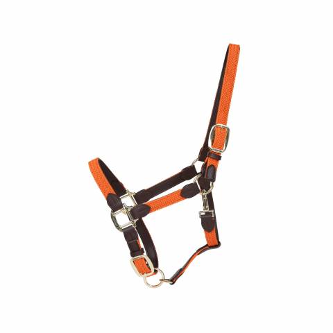 Licol en nylon tressé - Kentucky