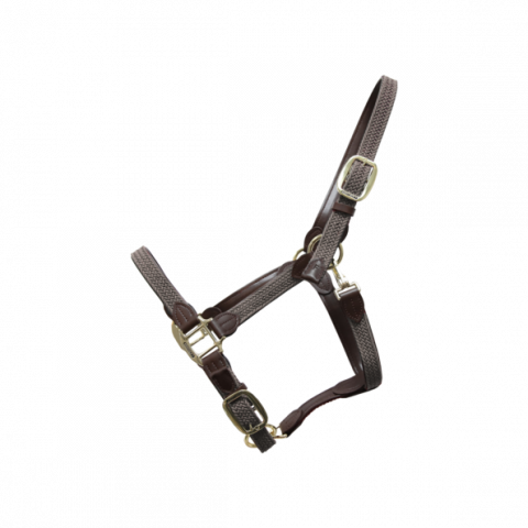 Licol en nylon tressé - Kentucky