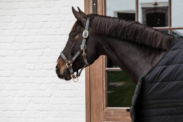 Licol en nylon tressé - Kentucky