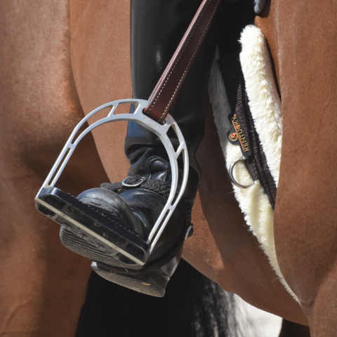 Sangle sheepskin - Kentucky