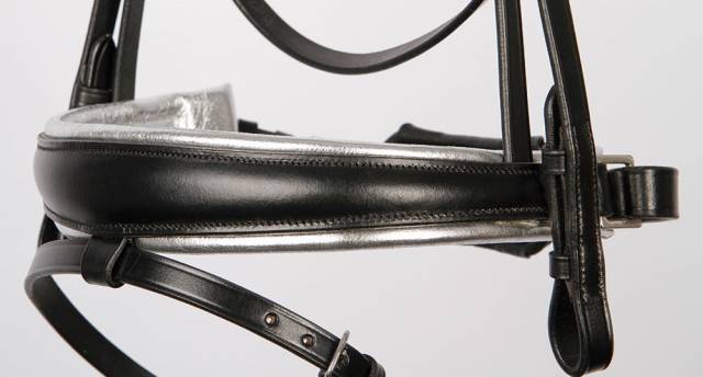 Bridon Rise & Shine - Harry's Horse