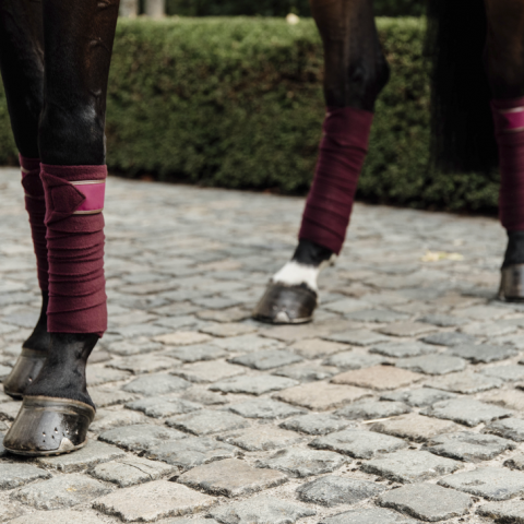 Bandes de polo avec bord cuir - Kentucky