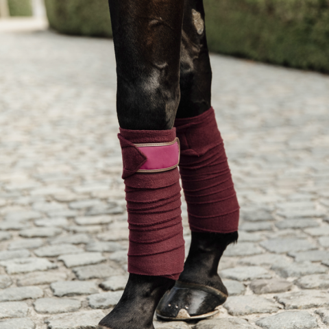 Bandes de polo avec bord cuir - Kentucky